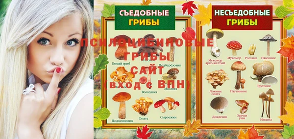PSILOCYBIN Медвежьегорск