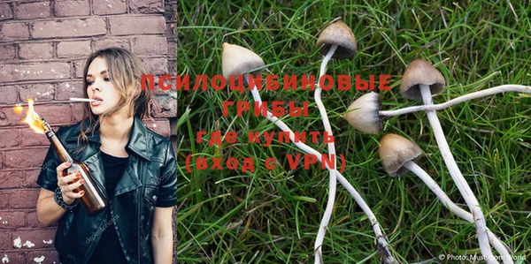 PSILOCYBIN Медвежьегорск
