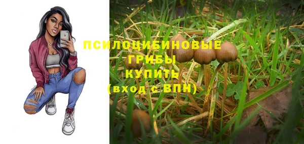 PSILOCYBIN Медвежьегорск