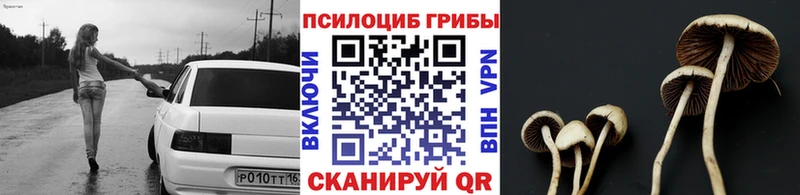 Псилоцибиновые грибы Magic Shrooms  KRAKEN как войти  Макушино 